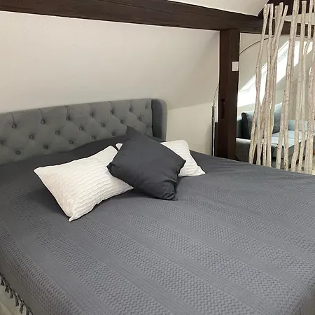 Discovair - Dachstudio Emma - Schwimmbad-nah Mit Netflix Apartment Eisenach